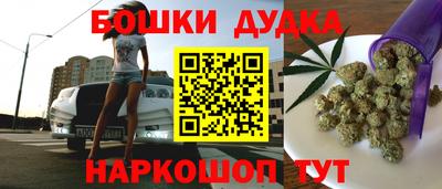 сатива Новокубанск
