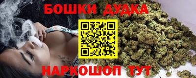 сатива Новокубанск