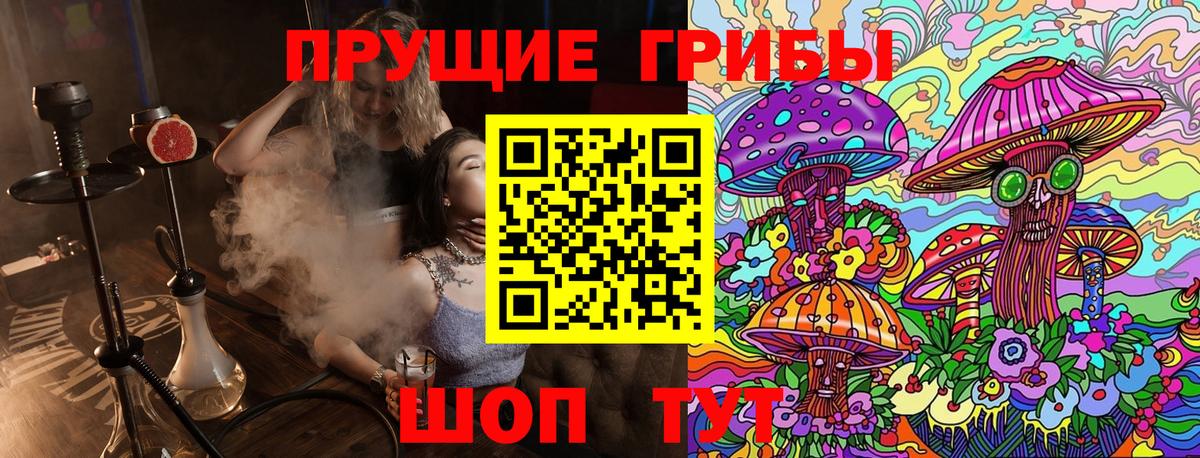Галлюциногенные грибы Psilocybe Тайшет