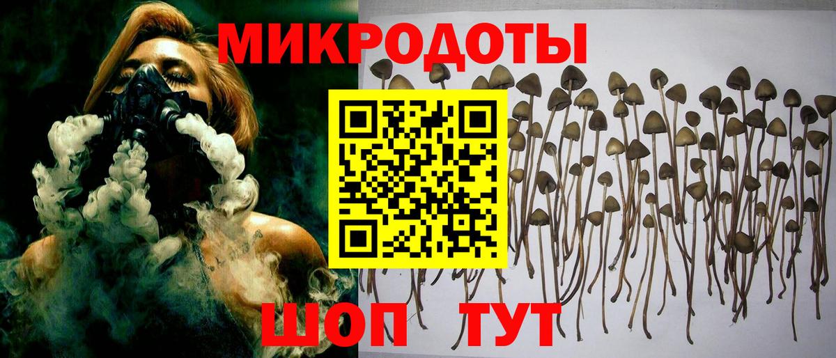 купить наркотик  Псилоцибиновые грибы Psilocybine cubensis  Вход с VPN  Тайшет 